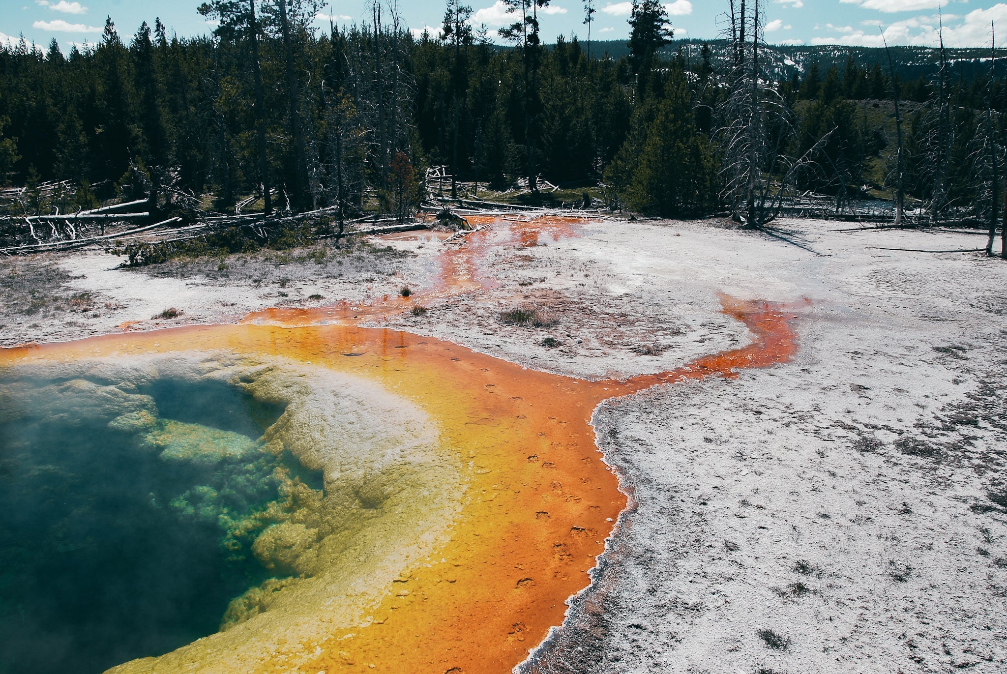 Landscape - Yellowstone Photography