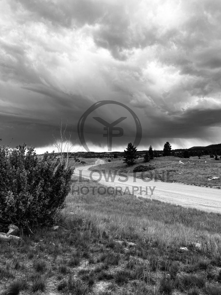 Lonely Road - Yellowstone Photography